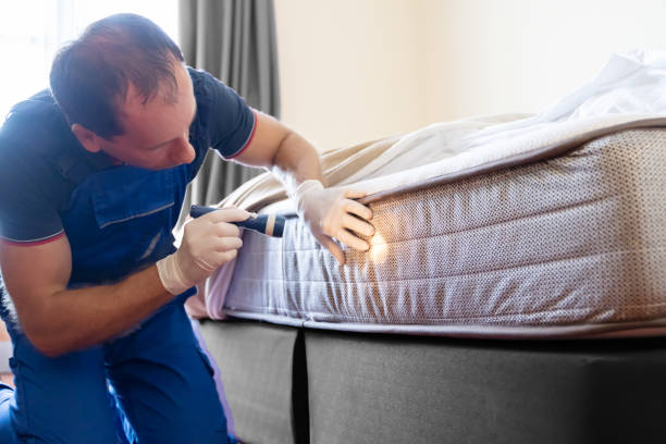 Best Fumigation Services  in Crestview, FL